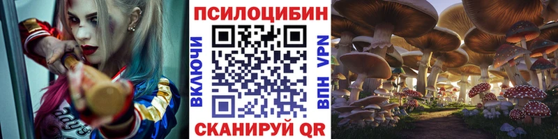 Галлюциногенные грибы мухоморы  Купить где  Кяхта 